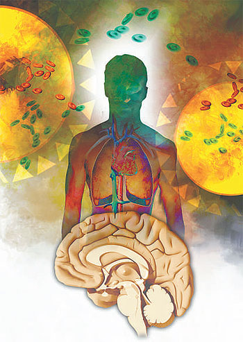 Cérebro e Intestino